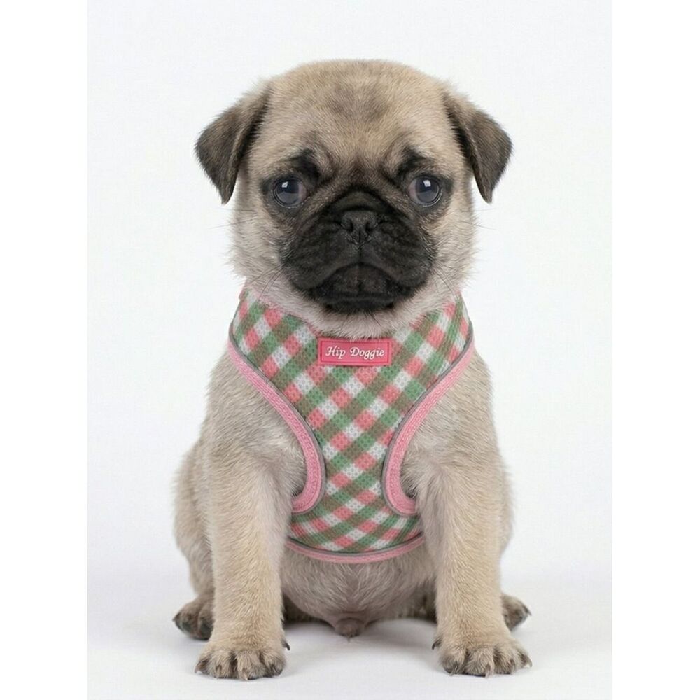 Pet Harness - Pink/Green Check - SZ XS fits 10 - 15" chest
